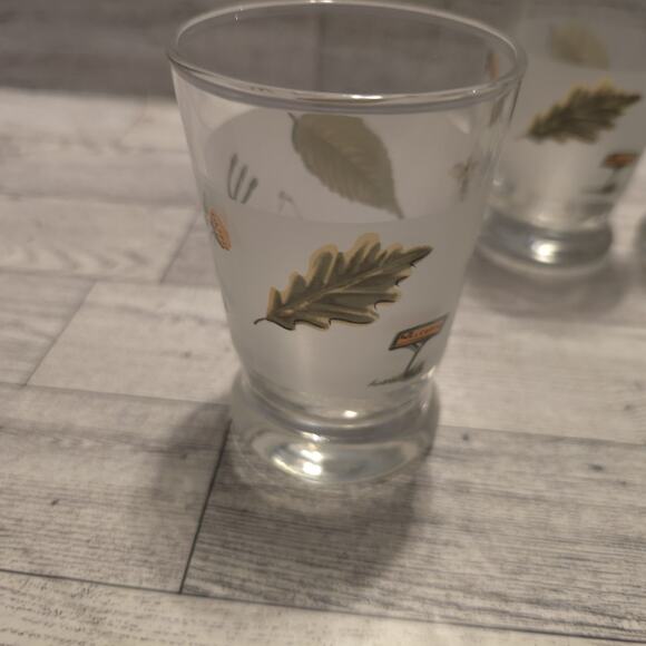 Pfaltzgraff Portfolio Naturewood 8 Oz Glassware Juice Frosted Set Of 4 - Picture 2 of 9